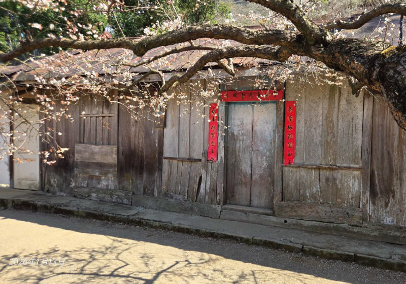 梅香一路跟著走：吳先生一家從高雄出發的蔡家梅園小旅行的第3張圖片